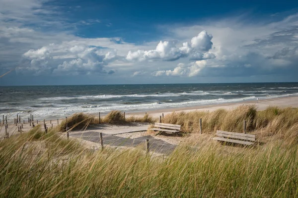Sand dunes with tall grass and swaying sand in the wind on a sunny day with blue sky and white clouds. Beautiful photo of recreation along the Dutch sea coast.