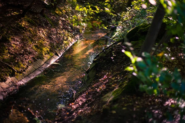 Priviți Pădurea Toamnă Fluxul Apă Canalizat Lumina Caldă Soarelui — Fotografie, imagine de stoc