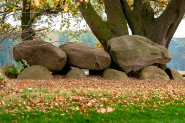 Dolmen Hollandalı il Drenthe ile meşe ağaçları bir arka plan olarak. Bir dolmen veya Flamanca olarak bir Hunebed yeni taş çağından inşaat işi.