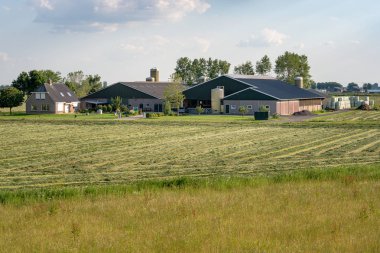 Hollanda'da kulübeli modern çiftlik