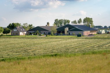 Hollanda'da kulübeli modern çiftlik