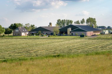Hollanda'da kulübeli modern çiftlik