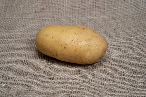 Zdjęcie ziemniaka roślinnego. Owoce warzywa ziemniaki. — Zdjęcie stockowe