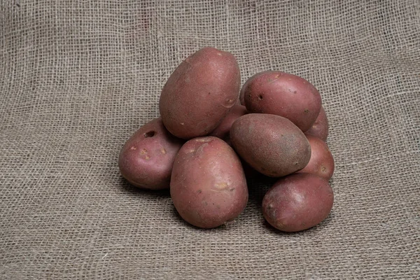 Foto einer Gemüsekartoffel. Obst Gemüse Kartoffeln. — Stockfoto