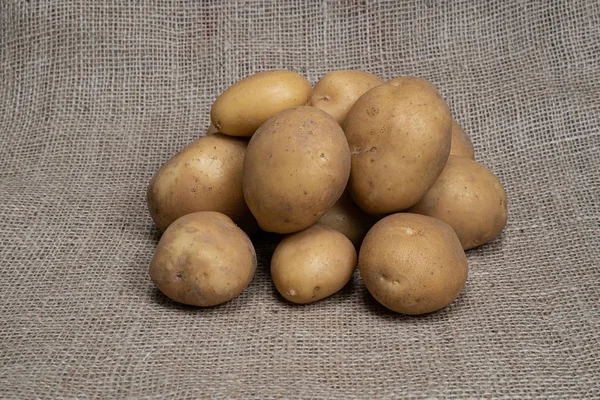 Fotografia di una patata vegetale. Ortofrutticoli patate . — Foto Stock