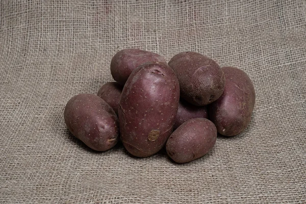 Foto einer Gemüsekartoffel. Obst Gemüse Kartoffeln. — Stockfoto