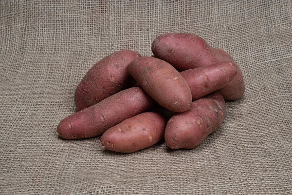 Foto einer Gemüsekartoffel. Obst Gemüse Kartoffeln. — Stockfoto