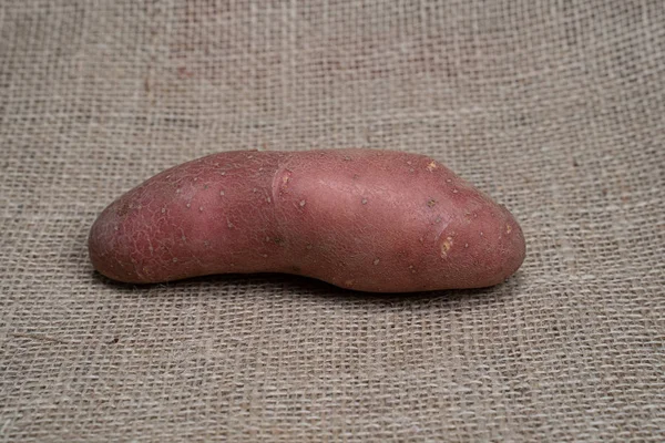 Foto einer Gemüsekartoffel. Obst Gemüse Kartoffeln. — Stockfoto