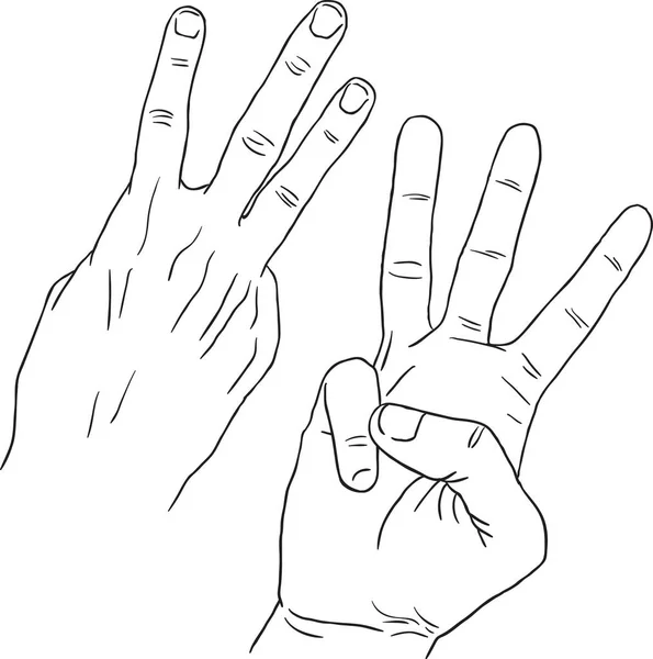 Black Line Art Hand Draw Hand Gesture Three, Up View and Down View. Drawn Hand in Black Line Art Vector