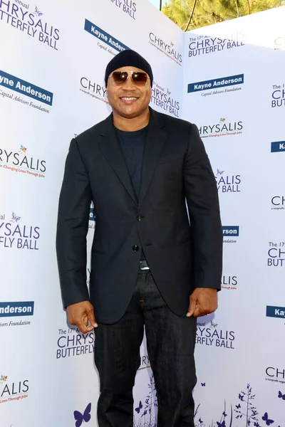 Ll cool j — Foto Stock