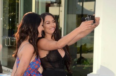 Brie Bella, Nikki Bella