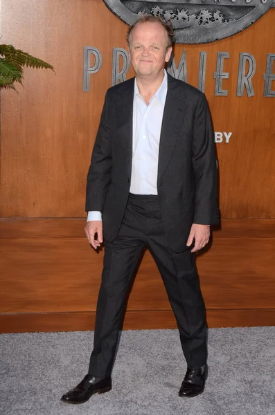Actor Toby Jones — Stock Photo, Image