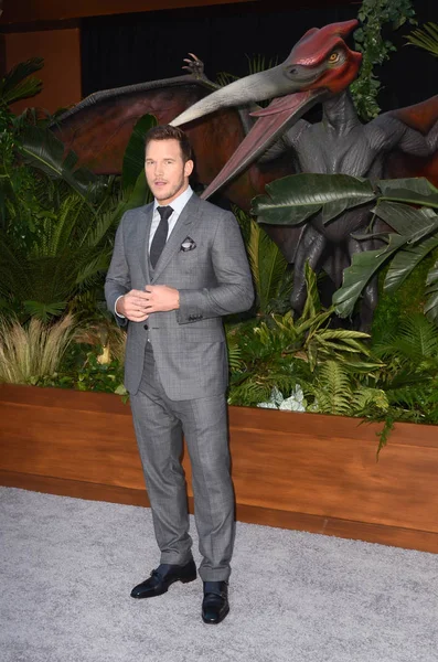 Acteur Chris Pratt — Stockfoto