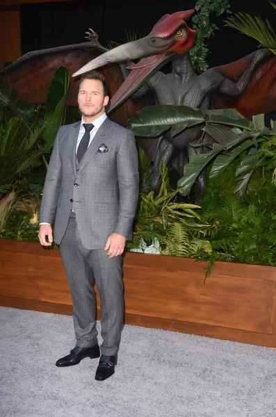 Acteur Chris Pratt — Stockfoto