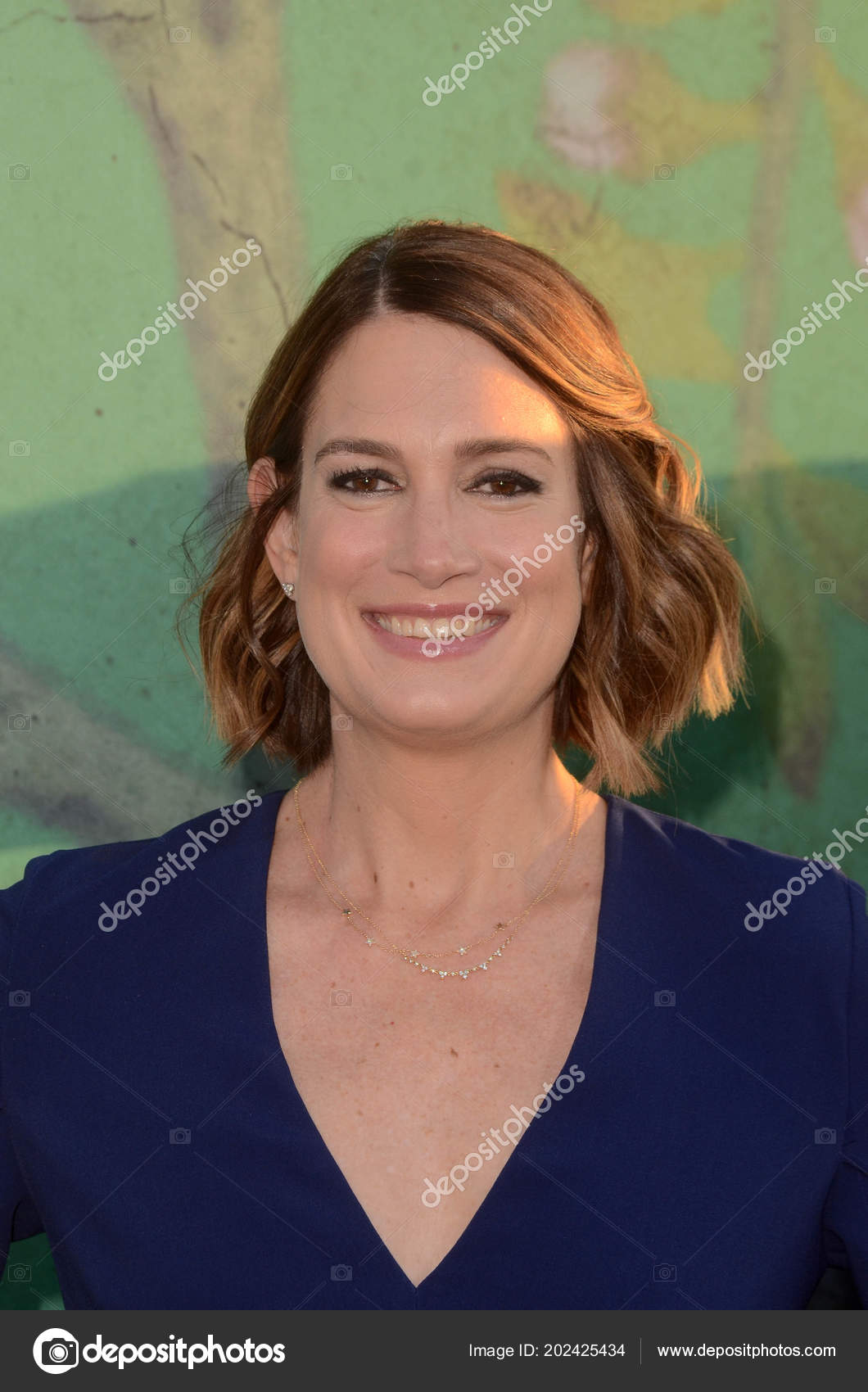 Actress Gillian Flynn Stock Editorial Photo © s_bukley 202425434