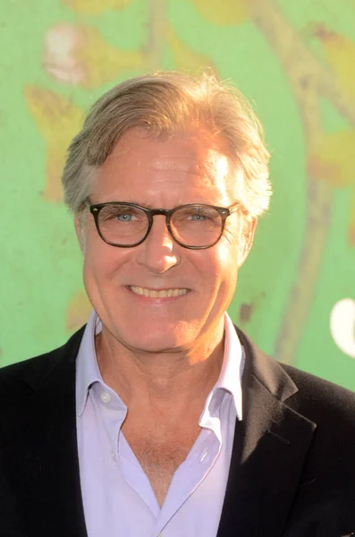 Acteur Henry Czerny — Stockfoto