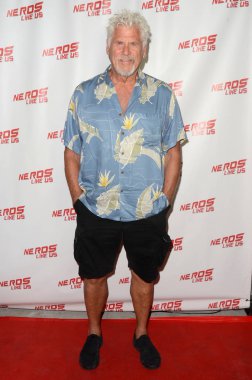 aktör Barry Bostwick