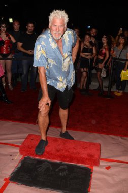 aktör Barry Bostwick