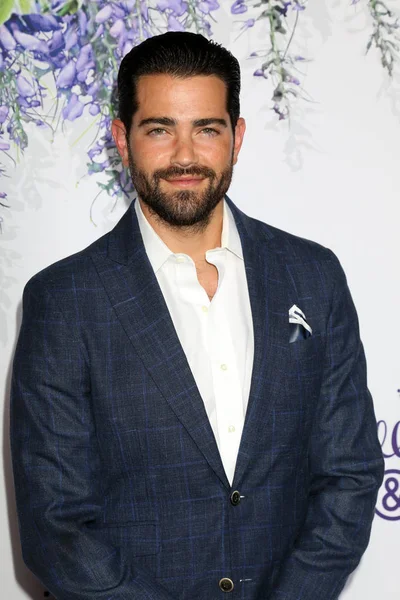 Attore Jesse Metcalfe — Foto Stock