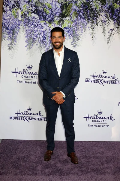 El actor Jesse Metcalfe — Foto de Stock