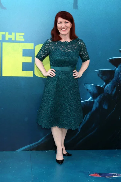 Színésznő Kate Flannery — Stock Fotó