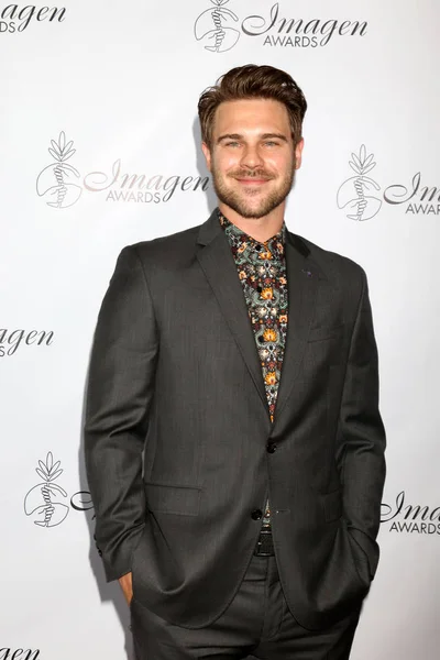 Grey Damon Den Årlige Imagen Awards Marriott Hotel Los Angeles – stockfoto