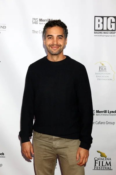 Ramon Rodriguez Catalina Film Festival Opening Night Art Theater Long — Foto Stock