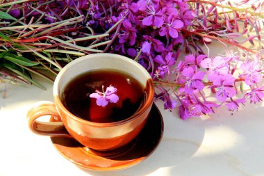 Mor pembe willow herb veya Rusya demlemek için kullanılan fireweed yabani ot fermente Ivan chai çay içmek