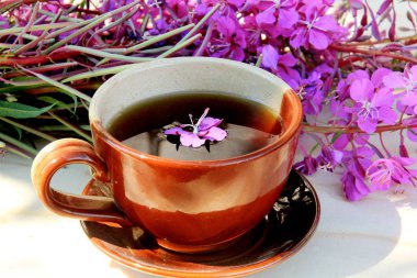 Mor pembe willow herb veya Rusya demlemek için kullanılan fireweed yabani ot fermente Ivan chai çay içmek