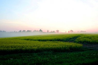 Sisli tecavüz alanı, gün doğumu            