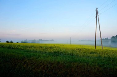     Sarı tecavüz alanı sabah erken saatlerde siste elektrik direkleri ile, gün doğumu