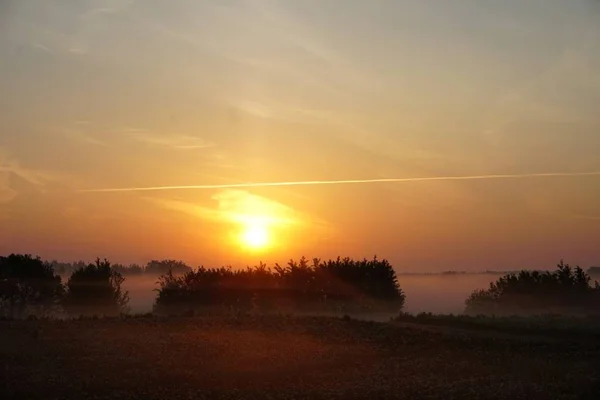 Wiese Mit Löwenzahn Und Nebel Sonnenaufgang — Stockfoto