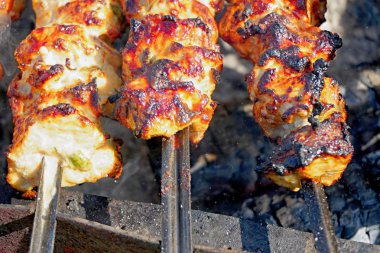   Tavuk shashlik, sebze ve baharat ile beyaz kefir marine marine ve kömür mangal üzerinde kızartılmış, Izgara tavuk                                               