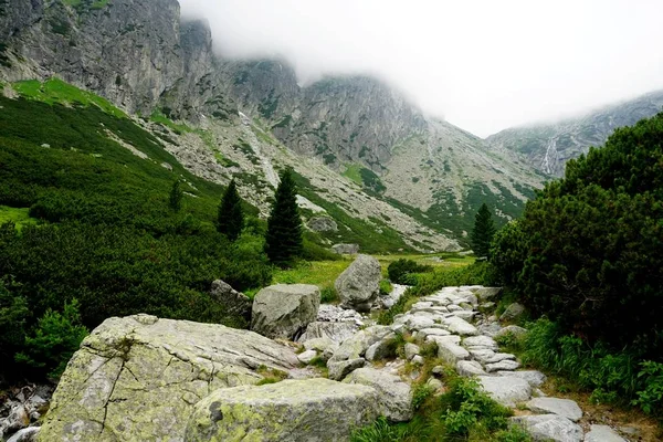 Bergsteinpfad Durch Wald Der Hohen Tatra Bergstraße Wald Reise Durch — Stockfoto