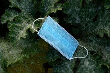                  Bitki yapraklarının üzerindeki yüz koruma maskesi. Virüs ve hastalık koruması              