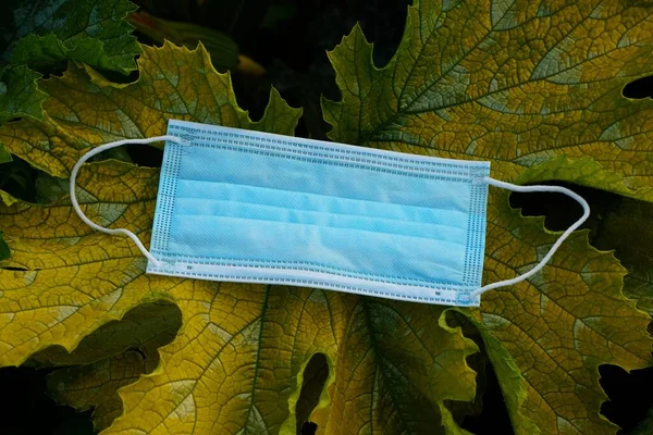 Face protection mask on plant leaves. Virus and illness protection
