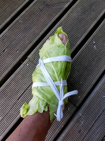 Wrapped Legs White Cabbage Leaves Cabbage Leaves Can Pull Out — Stock Photo, Image