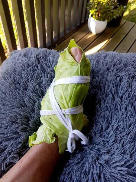 Wrapped Legs White Cabbage Leaves Cabbage Leaves Can Pull Out — Stock Photo, Image