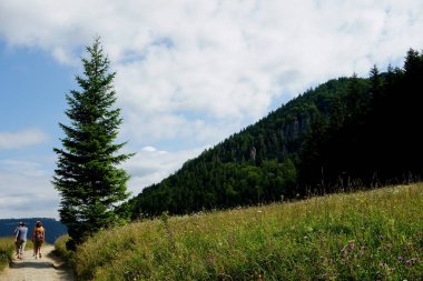                                Jasenova 'nın yukarısında Mala Fatra Ulusal Parkı tepeleri olan çayırlar ve ormanlar, Slovakya. Güneşli yaz günü 