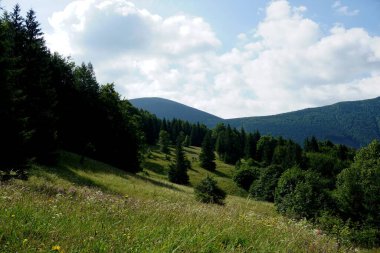                                Jasenova 'nın yukarısında Mala Fatra Ulusal Parkı tepeleri olan çayırlar ve ormanlar, Slovakya. Güneşli yaz günü 