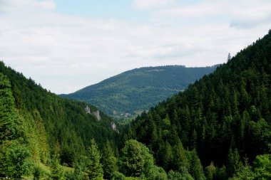                                Jasenova 'nın yukarısında Mala Fatra Ulusal Parkı tepeleri olan çayırlar ve ormanlar, Slovakya. Güneşli yaz günü 