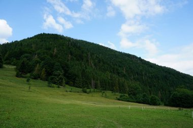                               Jasenova 'nın yukarısında Mala Fatra Ulusal Parkı tepeleri olan çayırlar ve ormanlar, Slovakya. Güneşli yaz günü 