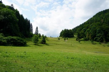                                Jasenova 'nın yukarısında Mala Fatra Ulusal Parkı tepeleri olan çayırlar ve ormanlar, Slovakya. Güneşli yaz günü 