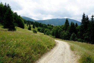                                Jasenova 'nın yukarısında Mala Fatra Ulusal Parkı tepeleri olan çayırlar ve ormanlar, Slovakya. Güneşli yaz günü 