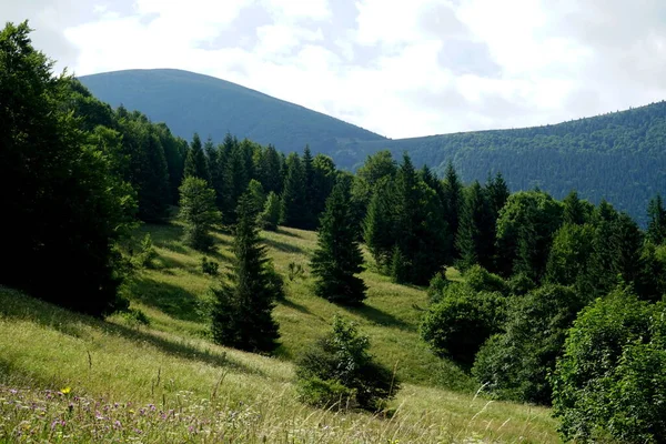 Prados Florestas Acima Jasenova Com Colinas Mala Fatra National Park — Fotografia de Stock