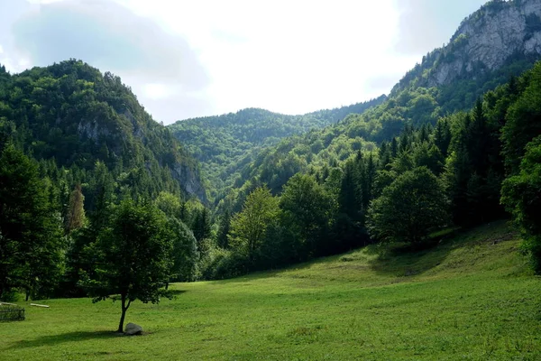 Jasenova Nın Yukarısında Mala Fatra Ulusal Parkı Tepeleri Olan Çayırlar — Stok fotoğraf