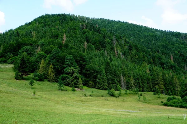 Λιβάδια Και Δάση Πάνω Από Jasenova Λόφους Της Mala Fatra — Φωτογραφία Αρχείου