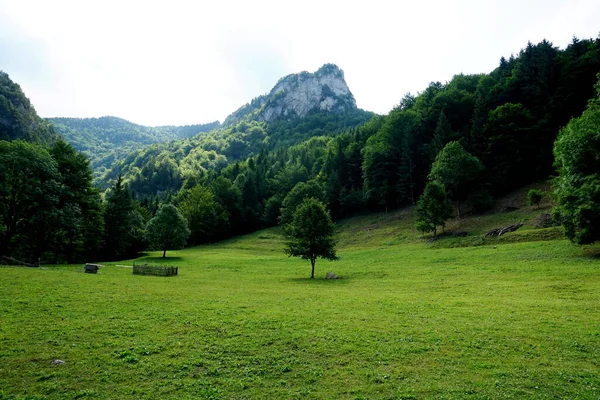 Prados Bosques Sobre Jasenova Con Colinas Del Parque Nacional Mala — Foto de Stock