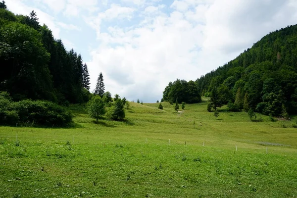 在Jasenova上空的草原和森林 以及斯洛伐克Mala Fatra国家公园的山丘 阳光灿烂的夏日 — 图库照片