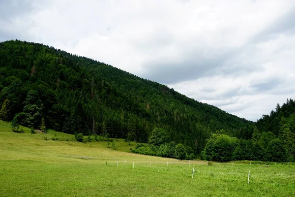 Λιβάδια Και Δάση Πάνω Από Jasenova Λόφους Της Mala Fatra — Φωτογραφία Αρχείου